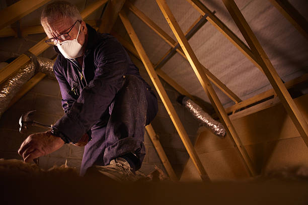 Best Geographic-Specific Insulation Services in Clinton, MD